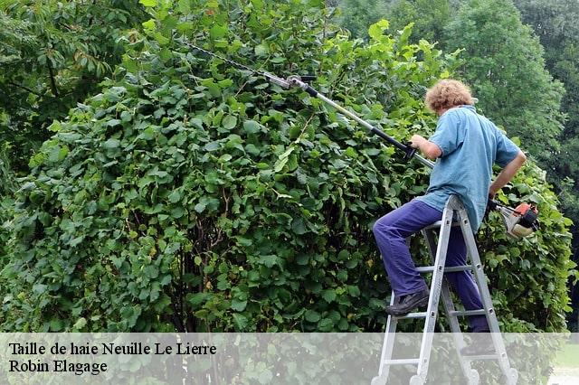 Taille de haie  neuille-le-lierre-37380 Robin Elagage